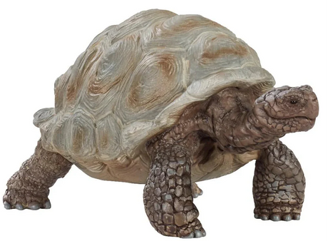 Schleich - Giant tortoise