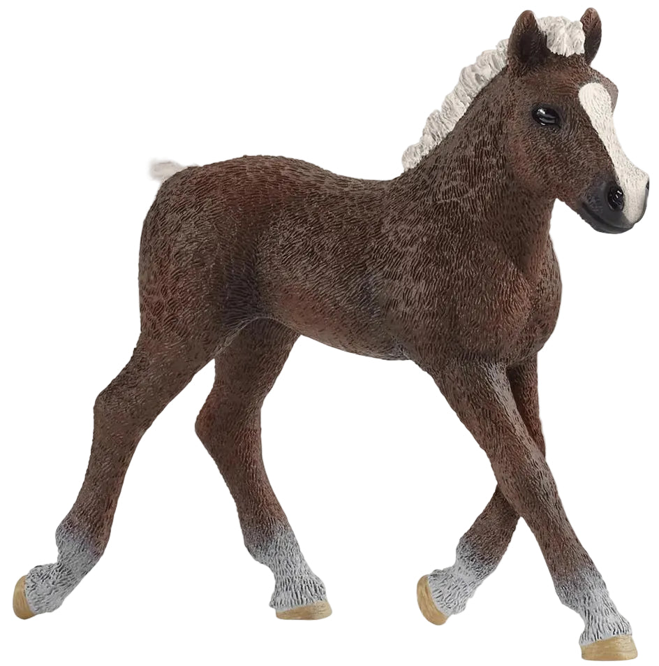 Schleich - Black Forest Foal
