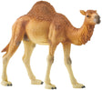 Schleich - Dromedary
