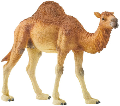 Schleich - Dromedary
