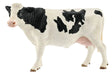 Schleich - Holstein Cow