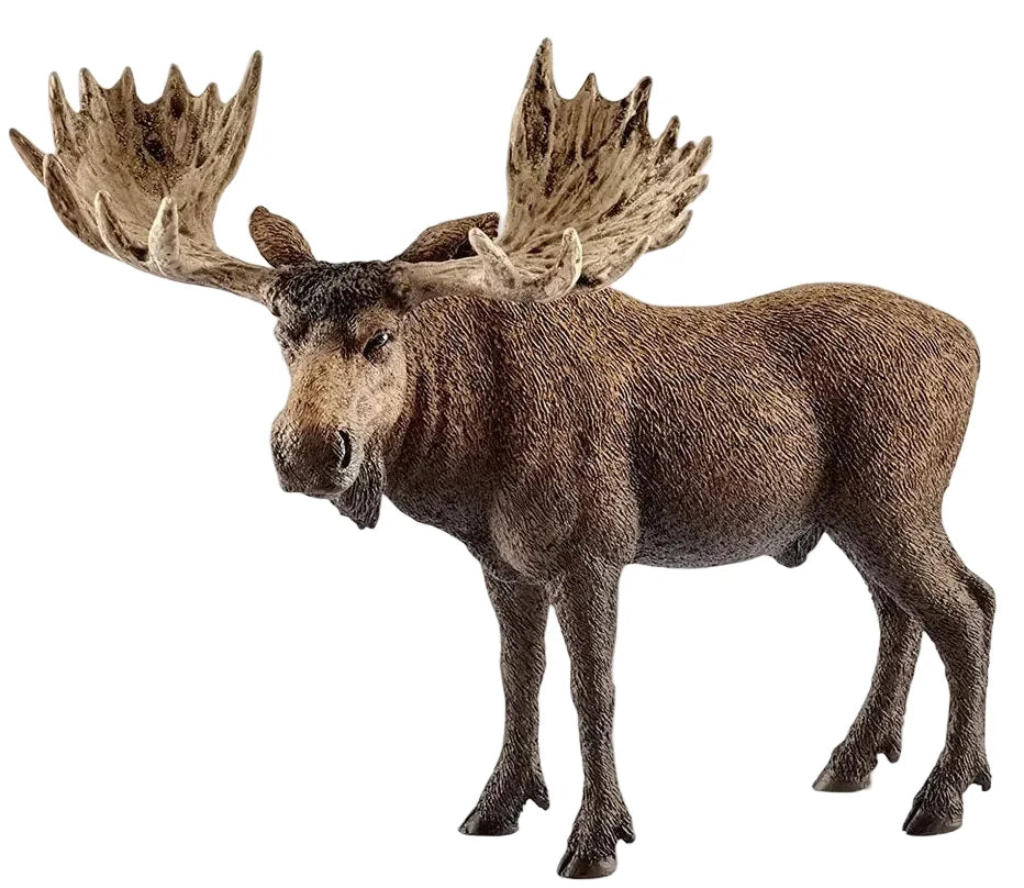 Schleich - Moose Bull
