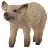 Schleich - Mangalica Piglet