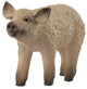 Schleich - Mangalica Piglet