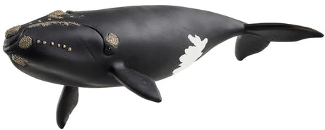 Schleich - North Atlantic Right Whale