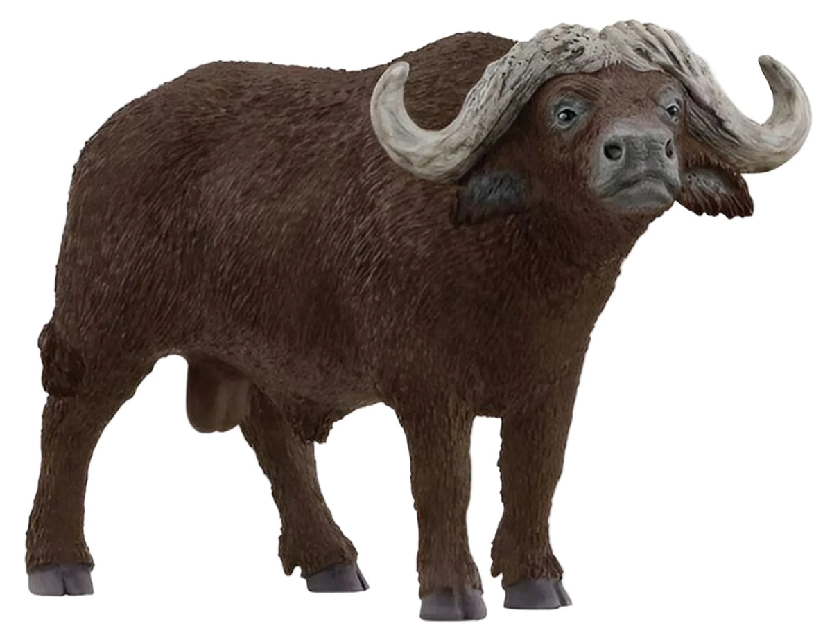 Schleich - African Buffalo