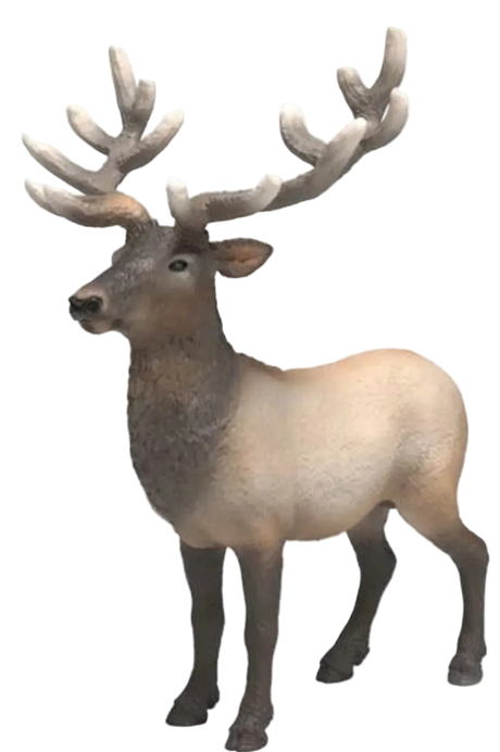 Schleich - Elk