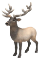 Schleich - Elk