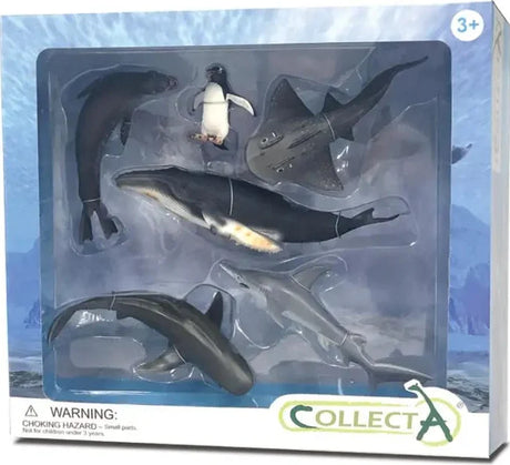 CollectA: 6pcs Sea Life Boxed Set