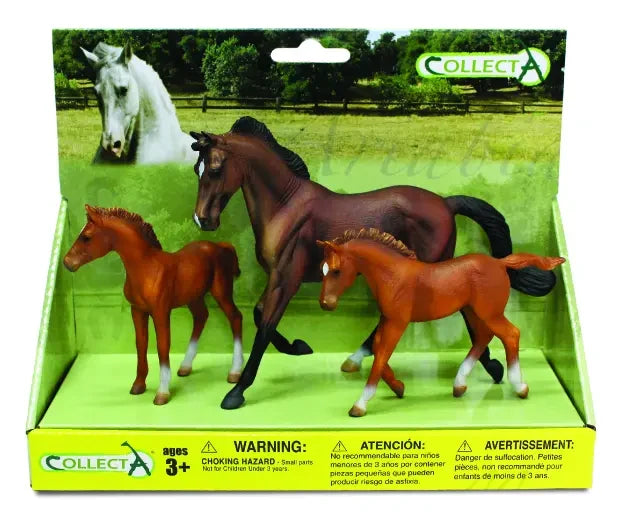 CollectA: 3pcs Horse Platform