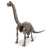 4M: Dig A Brachiosaurus Skeleton