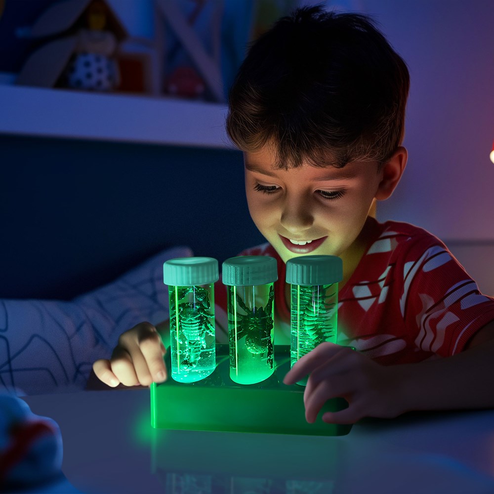 4M: Kidzlabs Creepy Crawley