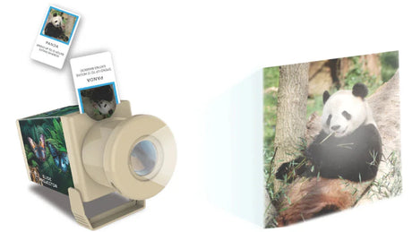 4M: Kidz Labs Slide Projector - Wildlife