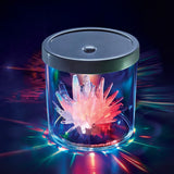 4M: Colour Changing Crystal Light