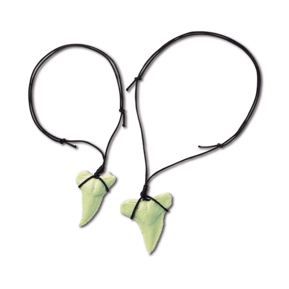 4M: Dig a Glow Shark Tooth