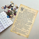 Professor Puzzle: Jane Eyre Puzzle Book - 252pc