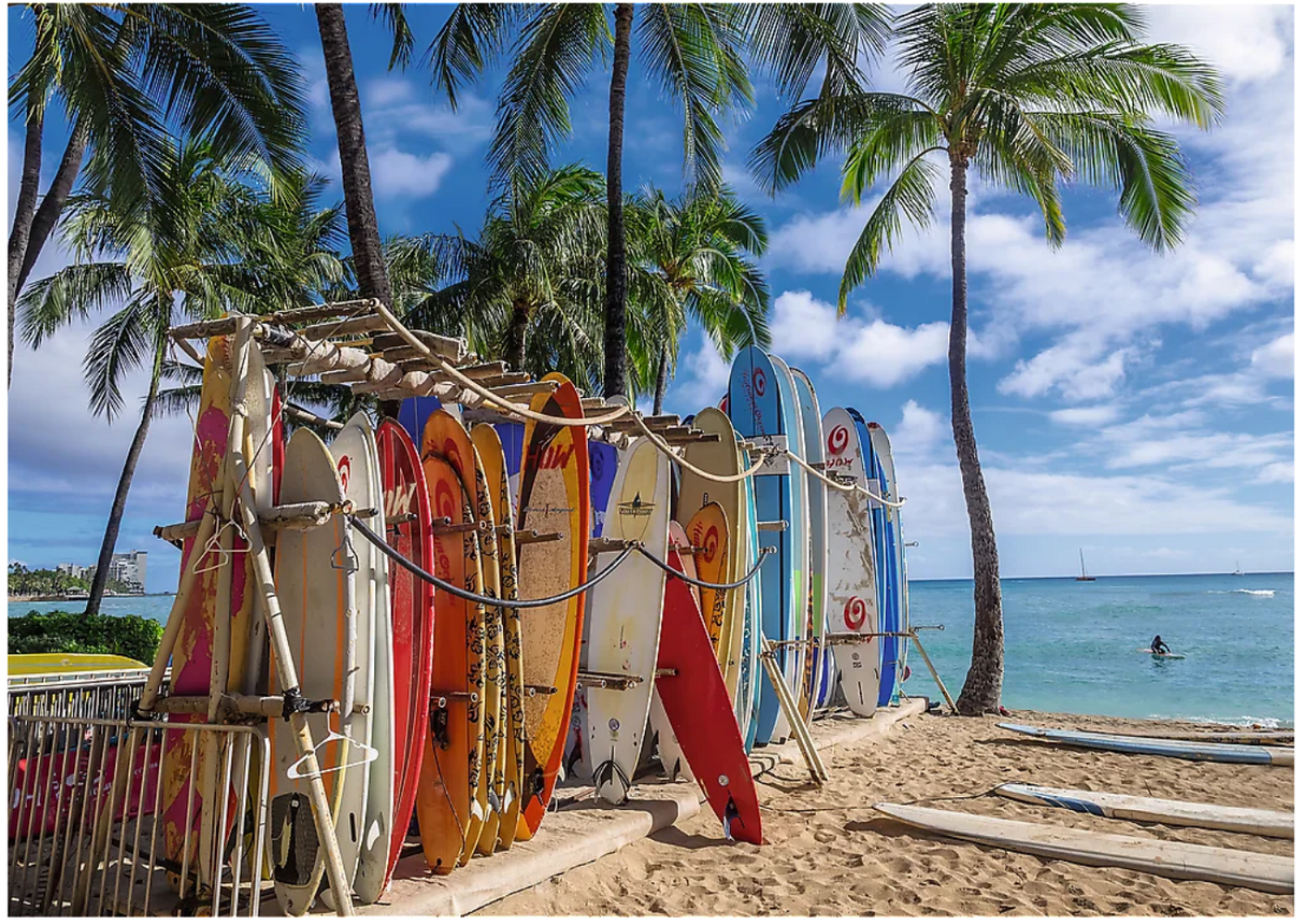 Trefl: Waikiki Beach, Hawaii - 1000pc Jigsaw Puzzle