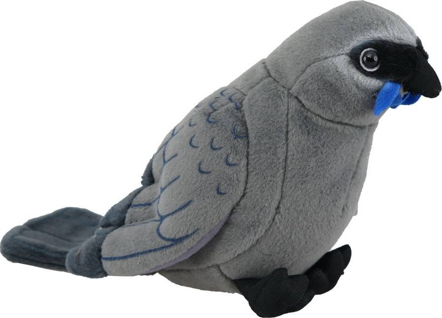 Kokako Sound Bird
