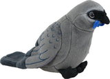 Kokako Sound Bird