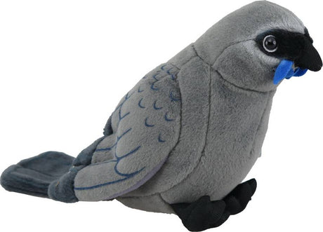 Kokako Sound Bird