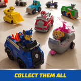 Paw Patrol Vehicles: Rocky - Recycle Truck