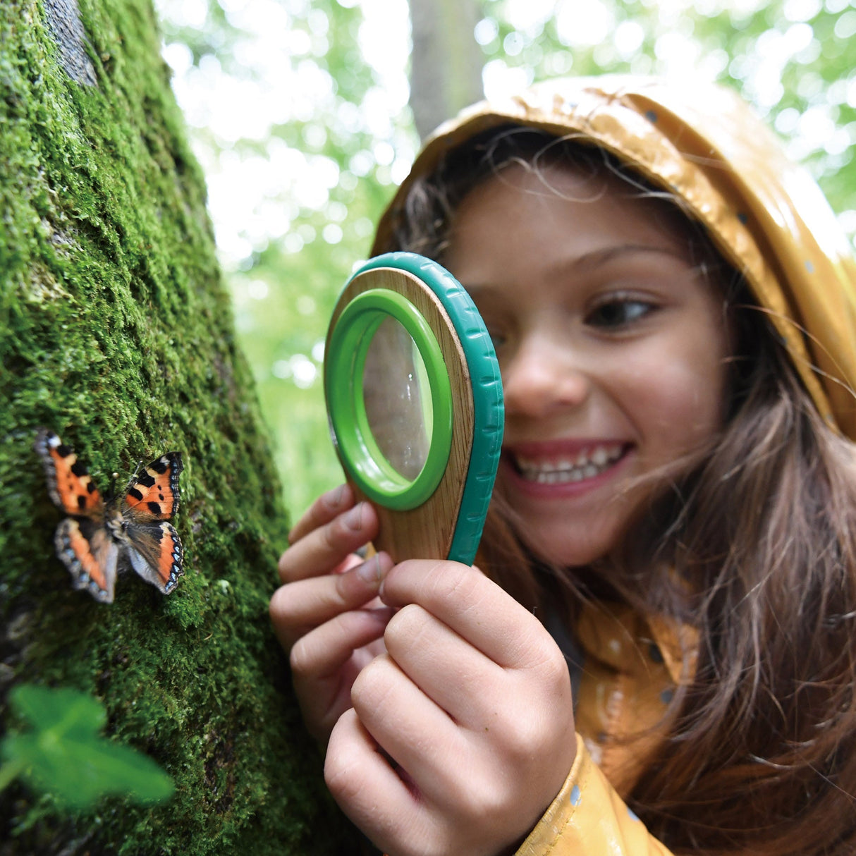 Hape: Nature Detective Set