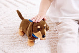 Hape: Puppy Care Clinic Vet Set