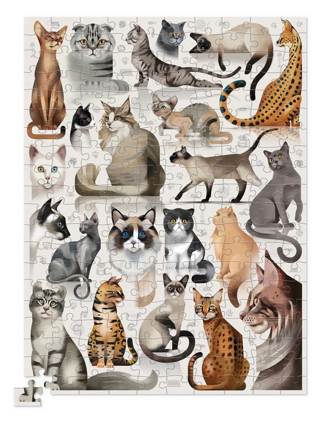 Crocodile Creek: 200pc Animals Puzzle - Cat Breeds
