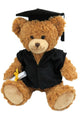 Classic Bear Graduation