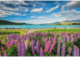 Clementoni: Lupins At Lake Tekapo - 1500pc Puzzle