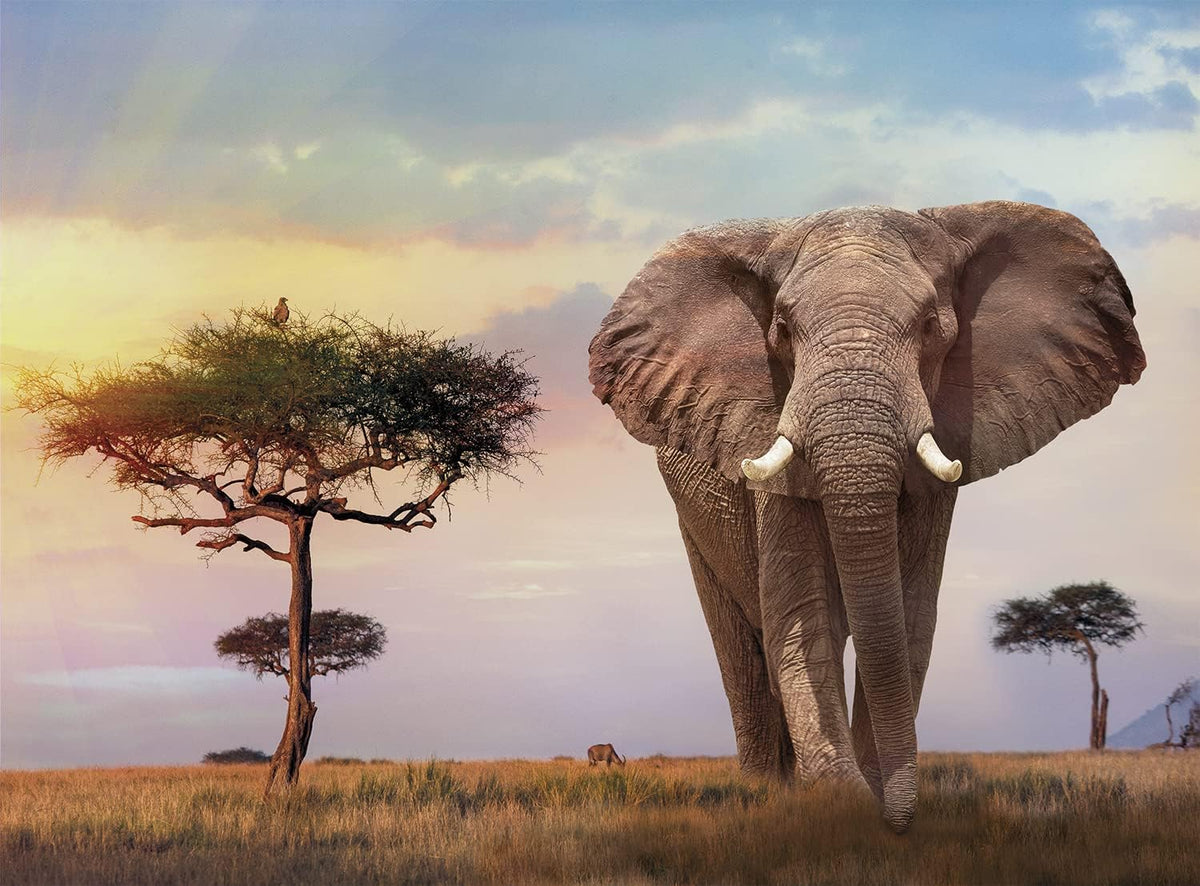 Clementoni African Sunset Jigsaw Puzzle - 500 Piece - High Quality Collection - (35096)
