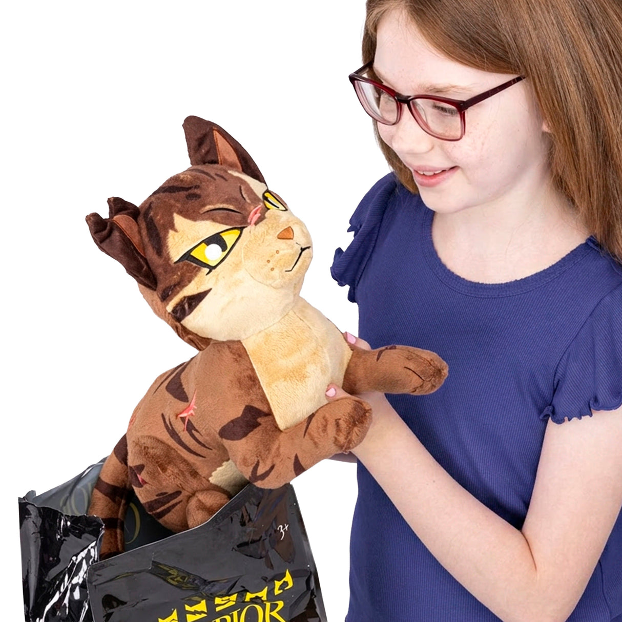 Warrior Cats 11" Large Mystery Plush - Series 2