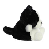 Palm Pals Plush - Brody Collie