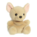 Palm Pals Plush - Cookie Chihuahua