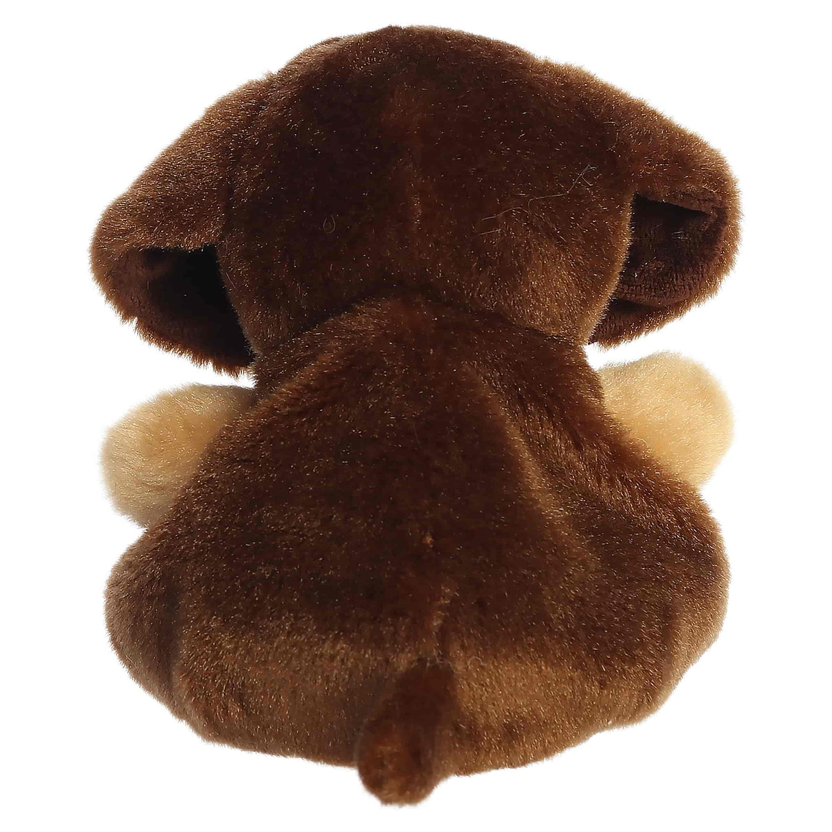 Palm Pals Plush - Houdini Dachshund