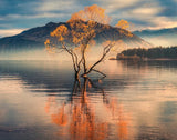 Mindbogglers 1000pc Lake Wanaka