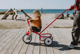 Tri-ang: Tuff Trike With Push Bar - Red