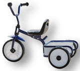 Tri-ang: Tuff Trike With Push Bar - Blue
