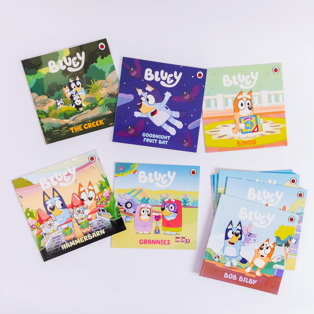 Bluey: Let’s Do This! Box of Books