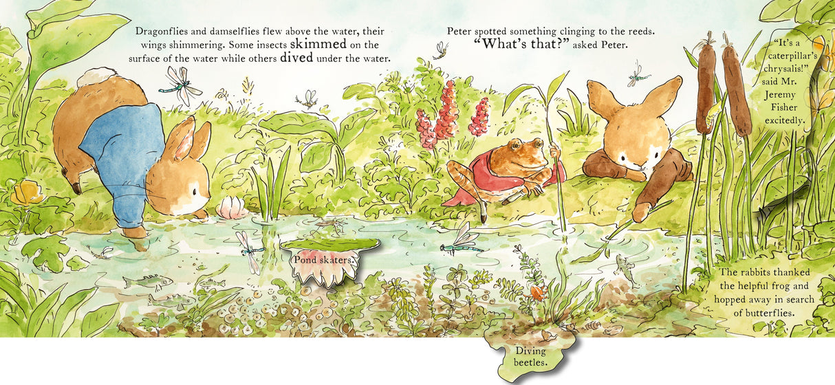Peter Rabbit: The Great Butterfly Hunt