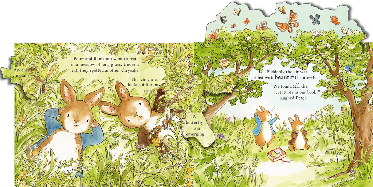Peter Rabbit: The Great Butterfly Hunt