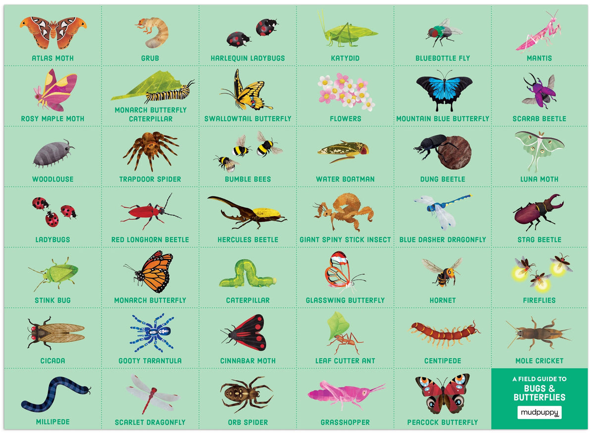 MudPuppy: Search & Find - Bugs & Butterflies 64 Piece Puzzle
