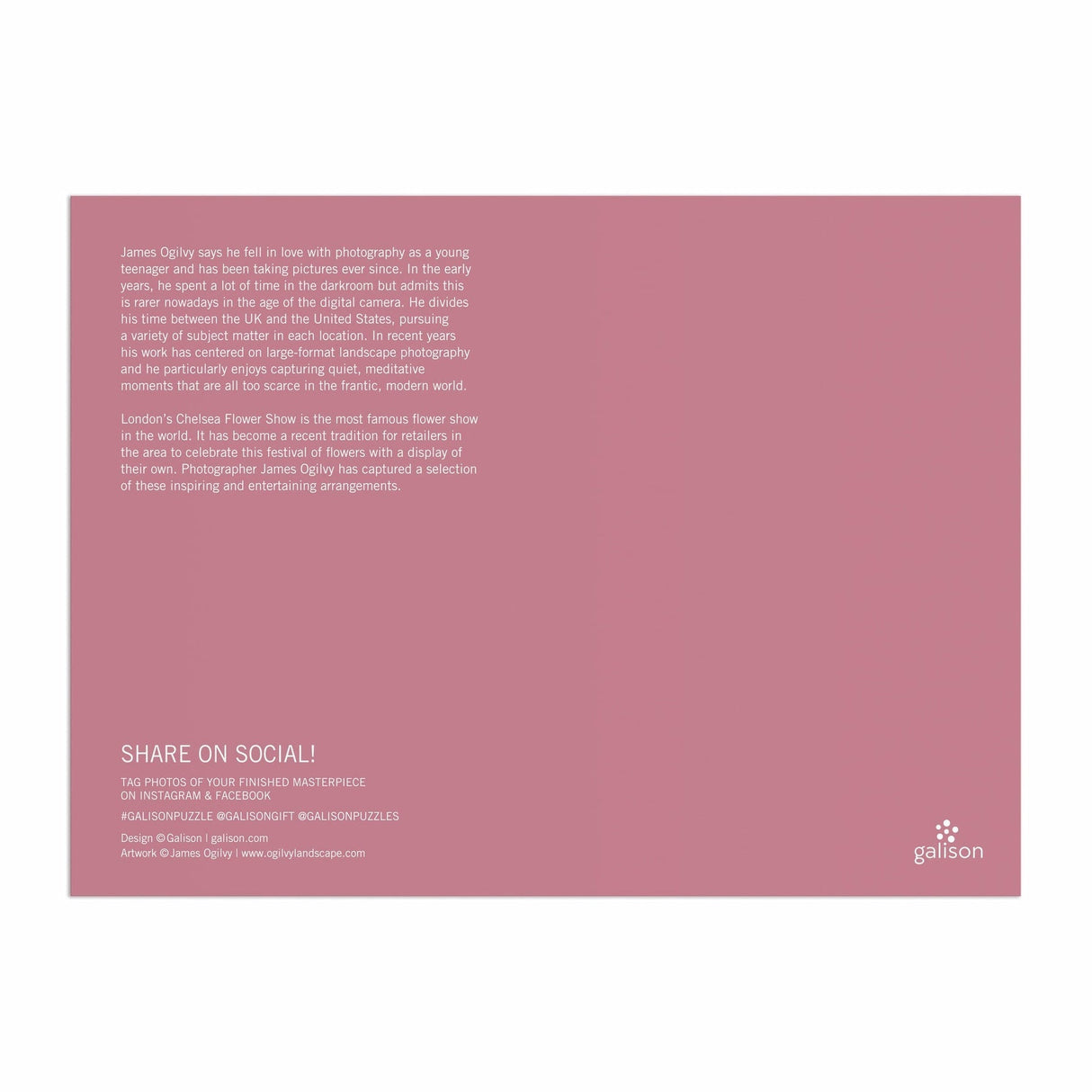 Galison London in Bloom Puzzle - 1000 Piece