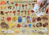 Mushrooms of the World - 1000 Piece Jigsaw Puzzle