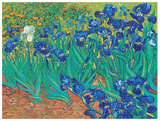 Van Gogh’s Irises 1000 Piece Jigsaw Puzzle