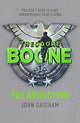 Theodore Boone: The Abduction