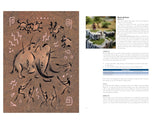 Hide, Stone, and Bone