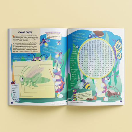 School Zone Activity Zone Word Searches