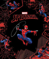 Spider-Man (Marvel: Legends Collection)