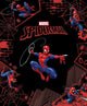 Spider-Man (Marvel: Legends Collection)